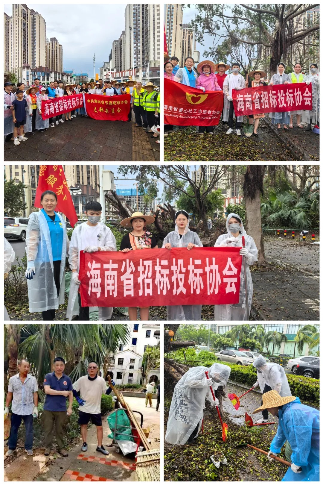 “摩羯”無情，人間有愛——海南省招標投標協會與會員單位積極開展災后重建工作